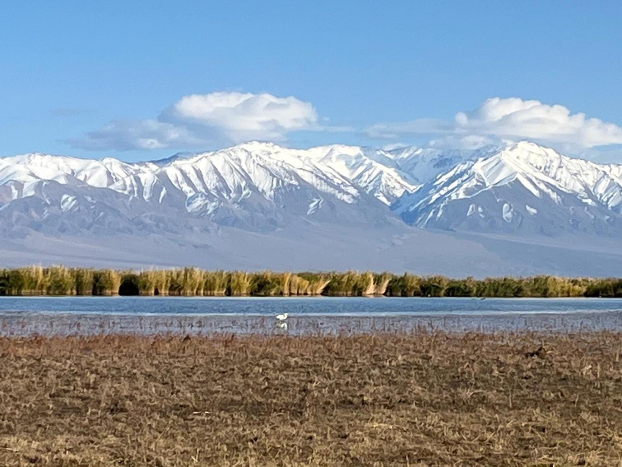 Gobi-Girl Otel Ulan Batur Dış mekan fotoğraf