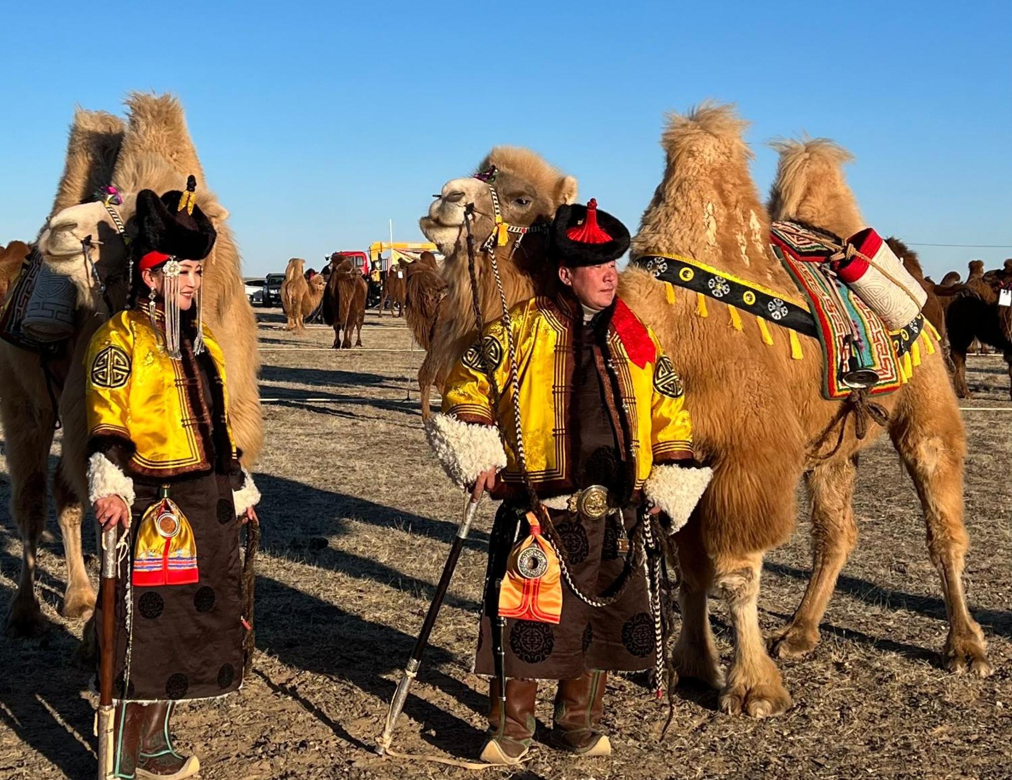 Gobi-Girl Otel Ulan Batur Dış mekan fotoğraf